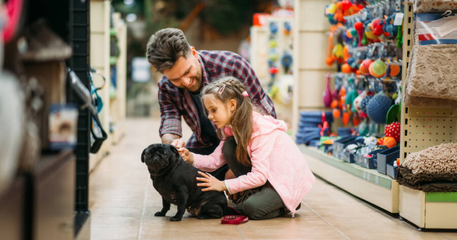 Online vs. In-Store: Which Loyalty Programs Offer Better Pet Deals