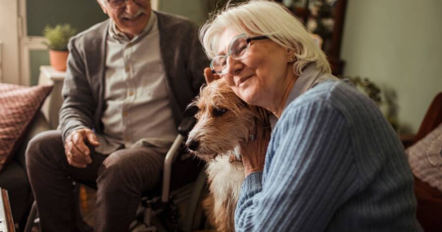 The Ultimate Guide to Choosing the Right Pet for Your Lifestyle